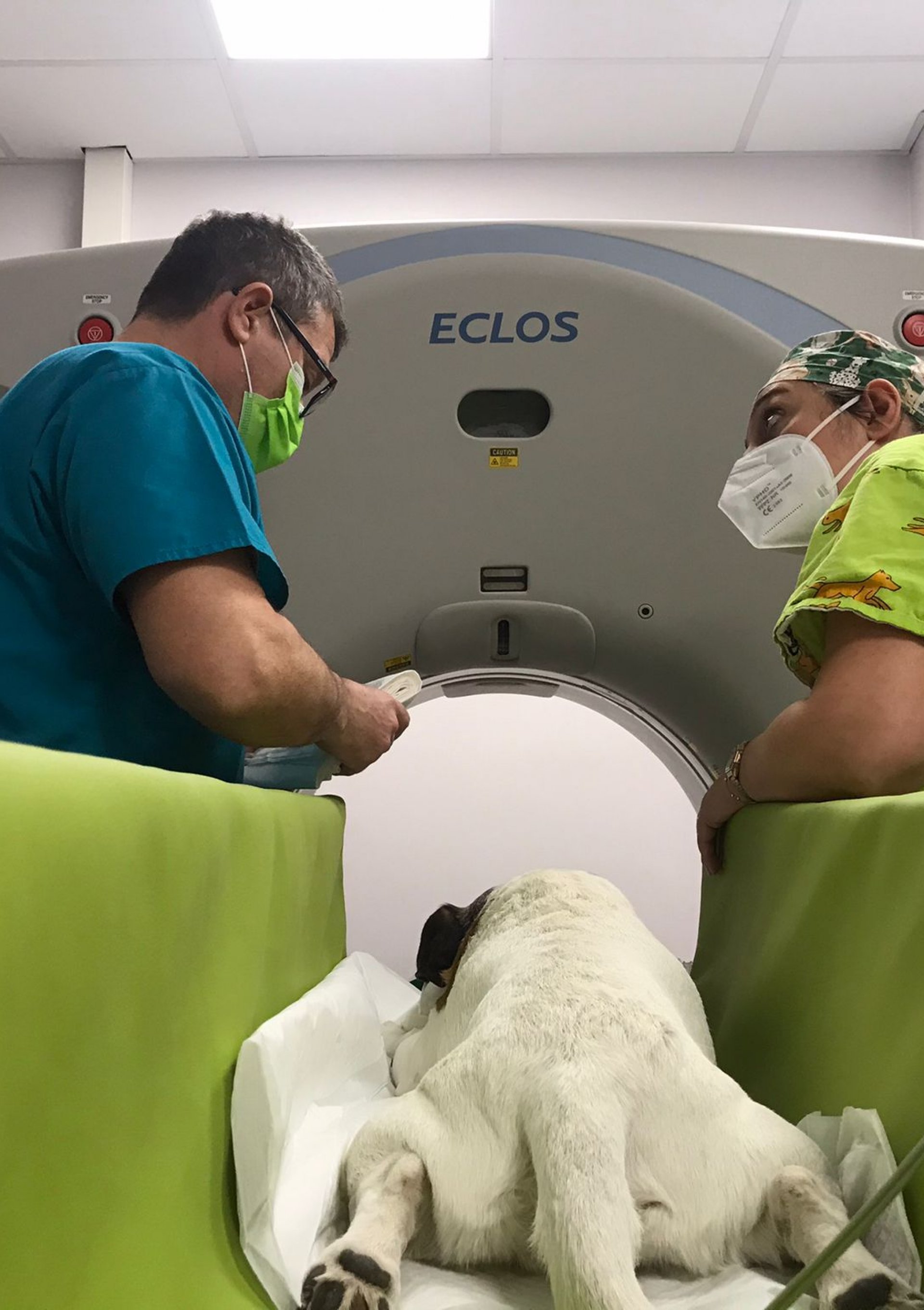 centro-veterinario-monselicense-dott-roberto-bonato-clinica