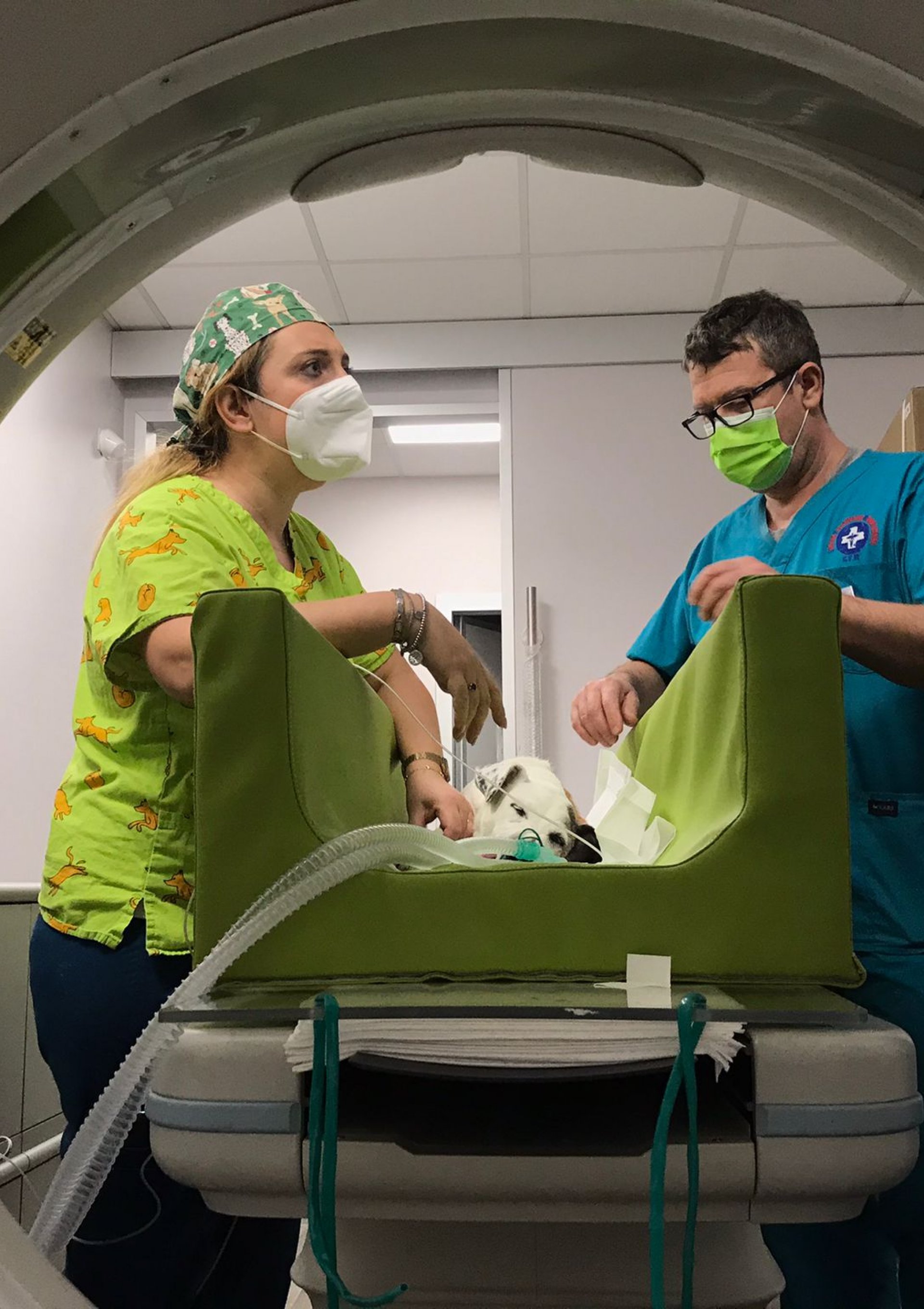 centro-veterinario-monselicense-dott-roberto-bonato-clinica